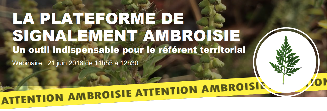 Photo de Webinaire : La plateforme de signalement ambroisie
